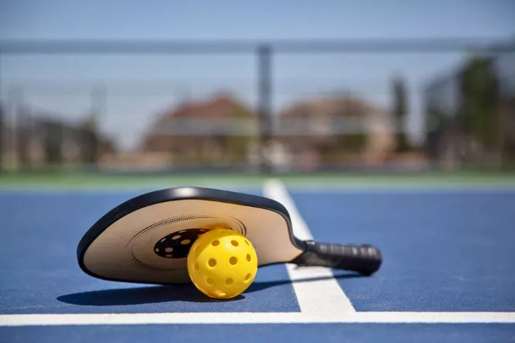 What is a bert in pickleball? everything you need to know