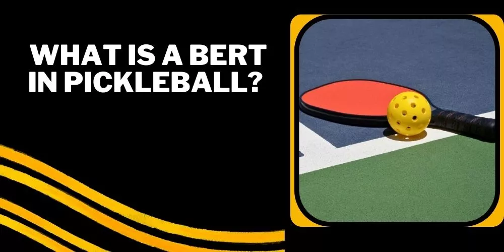 What is a bert in pickleball