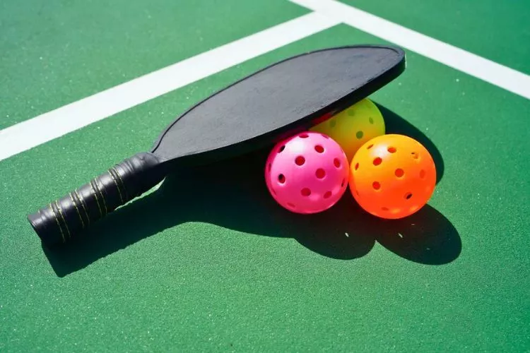 When is national pickleball day? all the details you need to know