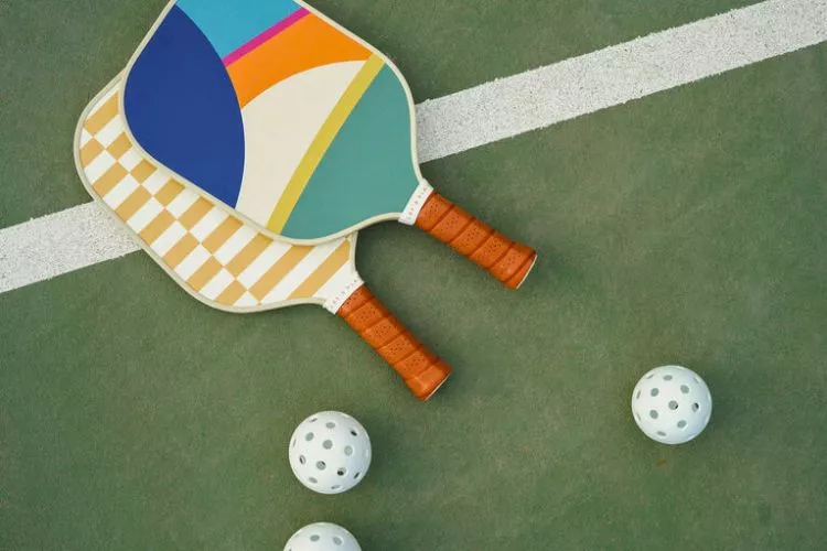 best Expensive pickleball paddle