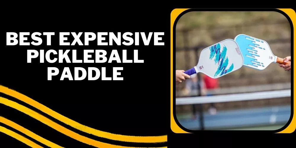 Best Expensive pickleball paddle